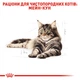 Royal Canin 3+1 Royal Canin Maine Coon Adult Вага: 0.085 кг | Консервований корм для котів Мейнкун Паучі (0273577001217) (11632) - зображення 7
