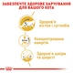Royal Canin 3+1 Royal Canin Maine Coon Adult Вага: 0.085 кг | Консервований корм для котів Мейнкун Паучі (0273577001217) (11632) - зображення 9