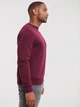 Свитшот мужской Russell Premium Authentic 0R262M 2XL Бордовый (0R262MR412XL) - изображение 4