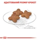 Royal Canin Royal Canin Mini Adult | Сухий корм для дорослих собак 8 кг (3182551055757) (30010080) - зображення 10