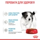 Royal Canin Mini Puppy Консервування Корм ​​Для Цуценят 0,085 кг (9003579008218) (10990019) - зображення 4