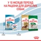 Mini Puppy 2 кг | Royal Canin | Сухий корм для цуценят малих порід собак (3182550793001) (30000202) - изображение 13