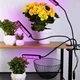 Ультрафиолетовая фитолампа для выращивания растений WOW W22 45W на прищепке, гибкие ножки - изображение 10