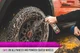 Очисник колісних дисків безкислотний P&S Brake Buster Total Wheel Cleaner 473мл - зображення 2