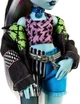 Кукла Mattel Монстер Хай Френки Штейн с питомцем и аксессуарами Monster High Frankie Stein Fashion Doll (HXH73) - изображение 4