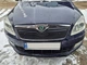 Зимова накладка на решітку (2010-2026, верхня) Матова для Skoda Roomster рр - зображення 4