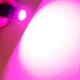 Лампочка автомобільна T10 4-SMD LED W5W рожевий - зображення 4