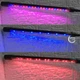 Фитолампа для растений двойная LED 10Вт с синим и красным светом, настольная светодиодная лампа на 2 ветки с таймером, клипсой-зажимом и USB питанием для подсветки рассады, комнатных и тепличных растений Черная F00-T77 - изображение 4
