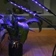 Фитолампа для растений светодиодная LED на 2 ветки 10Вт, двойная настольная лампа для роста и цветения комнатных и тепличных растений с прищепкой-зажимом, таймером и питанием от USB, красный и синий свет Черная TF-770 - изображение 3