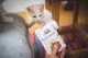 Корм Brit Care Cat Fillets In Gravy Duck влажный с уткой для взрослых котов 85 гр - изображение 4