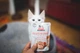 Корм Brit Care Cat Fillets In Gravy Turkey and Salmon вологий з індичкою та лососем для дорослих котів 85 гр - зображення 4