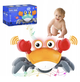 Краб со звуковыми и световыми эффектами Cartoon Crab HX155C Оранжевый - изображение 2