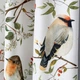 Короткі штори з пташками для кухні Adagio Windows Decor у розмірах 1,4 х1,7м -2шт, Занавіски - фіранки з підхватами - изображение 4