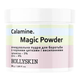 Пудра очищающая для борьбы с черными крапинками и сыпями Hollyskin Calamine Magic Powder 30 г - изображение 1