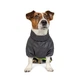 Комбінезон для собак Pet Fashion «Rain» XS - зображення 3
