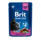 Вологий корм для котів Brit Premium Cat Chicken & Turkey pouch 100 г (курка та індичка) - зображення 1