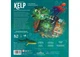 Настольная игра Ігромаг Kelp: Акула против Осьминога (Kelp: Shark vs Octopus) + дополнение Молниеносные рефлексы (Brilliant Behaviours Mini Expansion Set) (укр.) (8089) - изображение 3