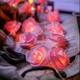 Гирлянда Розовая роза 1,5 м 10 ламп Теплый белый на батарейках G168-P - изображение 1