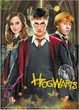 Пазл DoDo Medium-S Harry Potter Гарри и друзья 250 элементов (4823115908612) - изображение 3