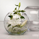 Ваза для цветов Pasabahce Flora 102 мм (43417) - изображение 4