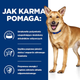 Sucha karma dla psa HILL'S Prescription Diet Canine I/D Digestive Care 16 kg (0052742043166) - obraz 3