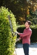 Кусторез сетевой RYOBI RHT8165RL 220В, 800 Вт, 65 см, шаг реза 34 мм, 4 кг (5133003649) - изображение 4