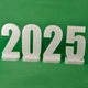 Напис 2025 з пінопласту висотою 49 см Woodland craft 8024 - зображення 3