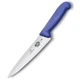 Нож разделочный Victorinox FIBROX Carving 5.2002.19 - изображение 2
