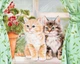 Алмазная мозаика на подрамнике картина стразами 30х40 см DIY Котята на окне SGLD 62273 - co - изображение 1