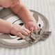 Музична подушка Лінивець Fisher-Price - зображення 5