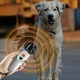 Отпугиватель собак ультразвуковой Ultrasonic Dog Repeller PU70 8669 с фонариком Black - изображение 2