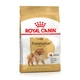 Корм для собак Роял Канін 1,5кг POMERANIAN Adult 1255015 - зображення 1