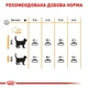 Повнораціонний сухий корм Royal Canin Hair& Skin Care №33 для підтримки здоров’я шкіри та блиску шерсті дорослих котів, 2 кг, 2526020 - изображение 2