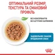 Вологий корм для собак Royal Canin Mini Puppy 85г 10990019 - зображення 3