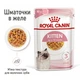 Консерва кош Royal 85гр Kitten JELLY - изображение 8