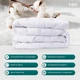 Одеяло ТЕП. Природа Cotton MEMBRANA PRINT 300 всесезонное-200х210 - изображение 3