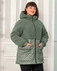 Куртка Alenka Plus 20420-3, 58, оливковий - изображение 1