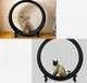 Беговое колесо для котов CutePet R01 XXL для средних и крупных пород кошек Цвет Черный - изображение 11