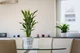 Вазон Idel Flowerbox квадратний фісташковий/білий 17см (740040) - изображение 6