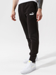 Спортивні штани чоловічі Puma Sweatpants 586714 01 M Чорні (4063697316218) - зображення 1