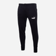 Спортивні штани чоловічі Puma Sweatpants 586714 01 M Чорні (4063697316218) - зображення 5