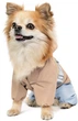 Дощовик Pet Fashion Tina S для дівчинки Бежевий з блакитним (4823082435159) - изображение 2