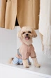 Дощовик Pet Fashion Tina XS для дівчинки Бежевий з блакитним (4823082435135) - зображення 5