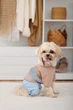 Дощовик Pet Fashion Tina XS для дівчинки Бежевий з блакитним (4823082435135) - зображення 6