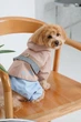Дощовик Pet Fashion Tina XS для дівчинки Бежевий з блакитним (4823082435135) - зображення 9