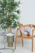 Дощовик Pet Fashion Tina XS для дівчинки Бежевий з блакитним (4823082435135) - зображення 10