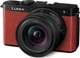 Фотоаппарат Panasonic Lumix S9 Crimson Red + 18-40mm f/4.5-6.3 (DC-S9NE-R) - изображение 2