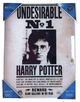 Плакат SD Toys Harry Potter Undesirable N 1 30 x 40 см (8435450200731) - зображення 1