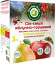 Сок-смузи Garden Gadz Яблочно-грушевый с мякотью 3 л (4820240850199) - изображение 1
