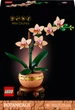 Конструктор LEGO Botanicals Мини орхидея 274 детали (10343) - изображение 1